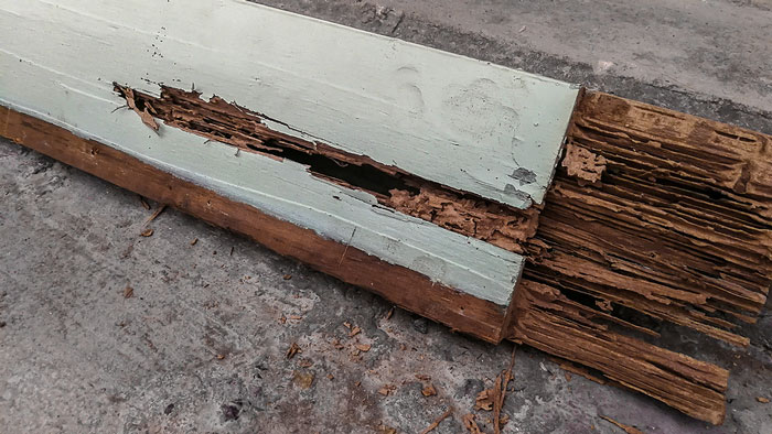 Termite Dry Rot Repair Sacramento Calif