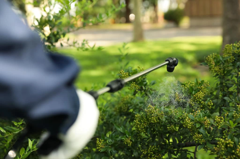 bigstock Worker Spraying Pesticide Onto 381764996 1 1024x680 1