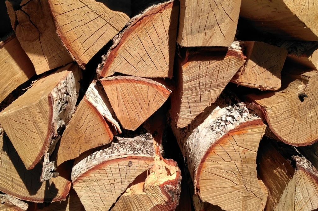 How To Get Rid of Carpenter Ants Ant Control Guide » NAHS