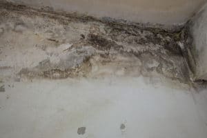 Homebuyer Options When Home Inspection Shows Mold