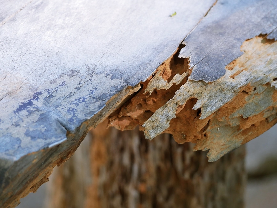 Have Dry Rot? Call North American Home Services