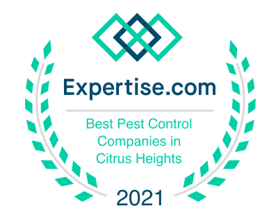 Best Pest Control Companies
